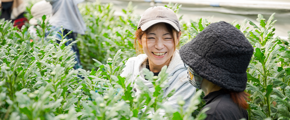 特定地域づくり事業協同組合イメージ